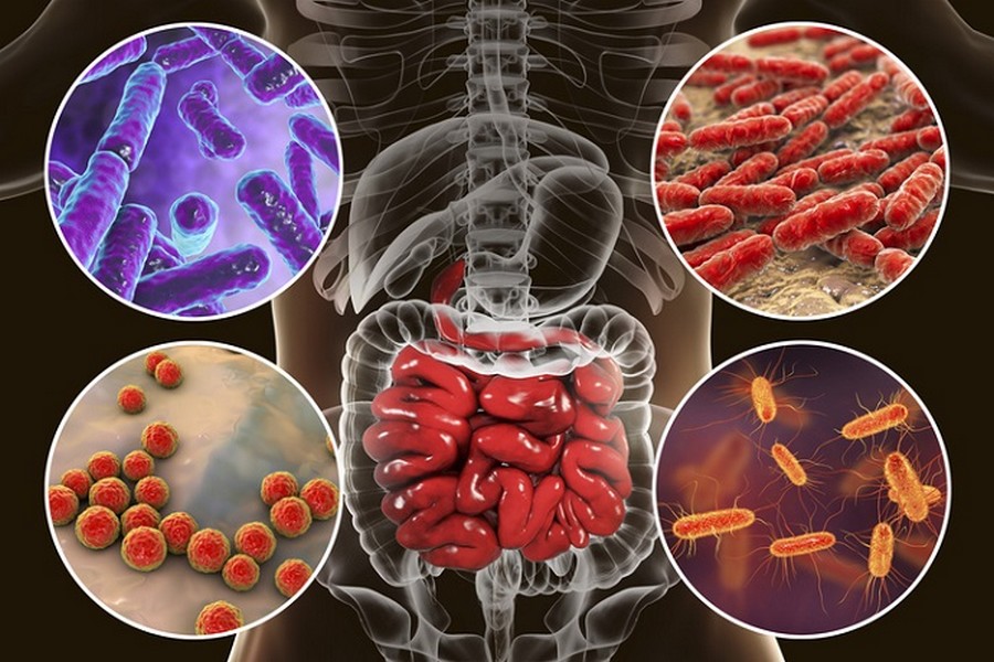 Le microbiote et ses secrets