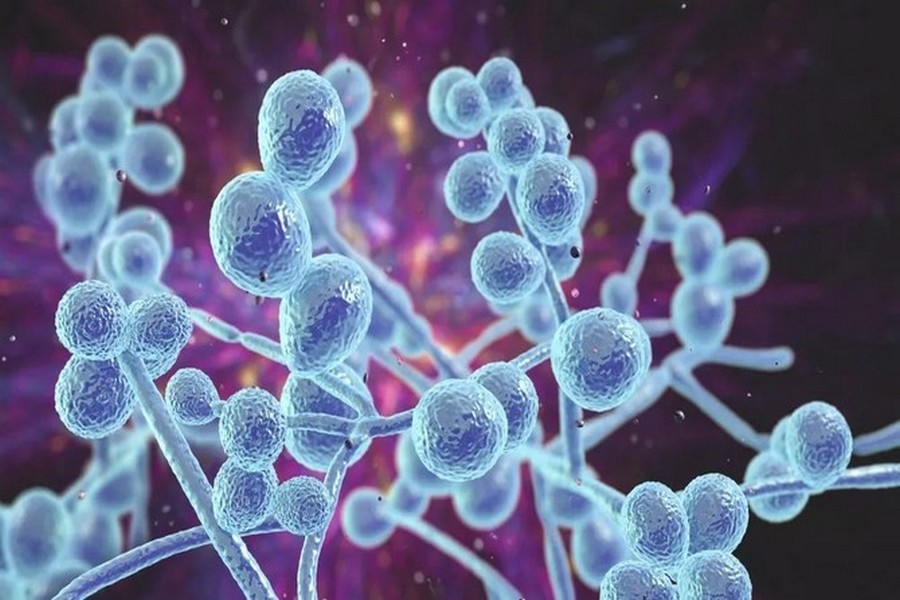 Troubles digestifs associés à une candidose