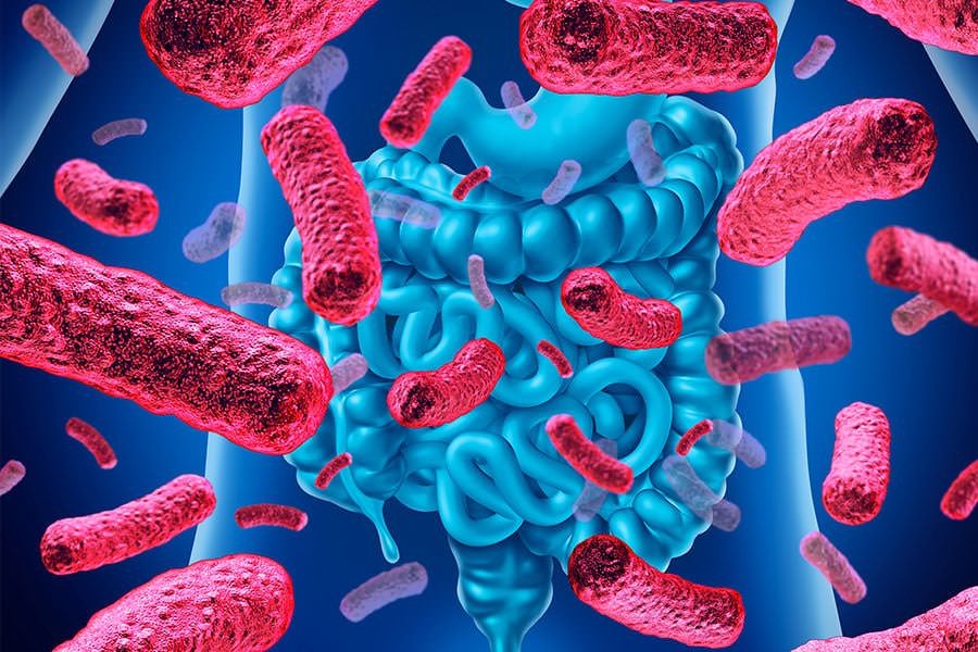 Comment le microbiote intestinal affecte votre santé : les faits essentiels