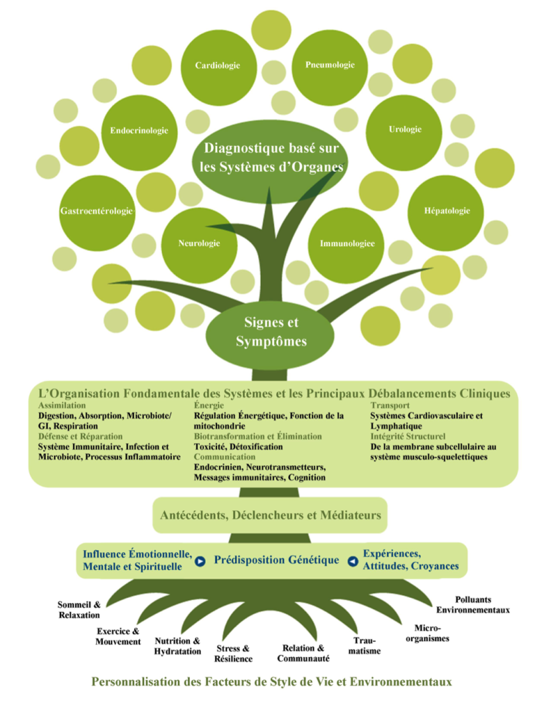 BRUNO PACCHIELE Naturopathe Médecine Fonctionnelle et Nutritionnelle — free download