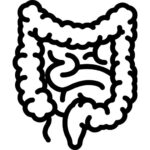 Syndrome de l'Intestin Irritable