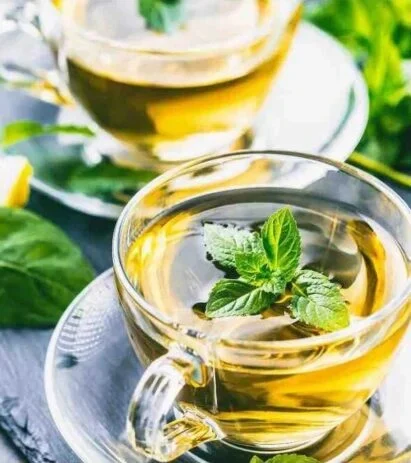 tisane-the-411x463