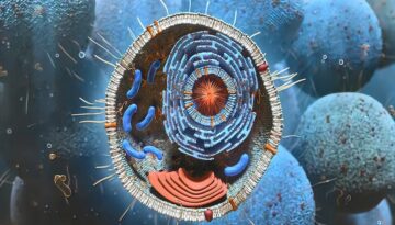 autophagie cellule_mod